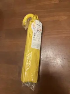 Item thumbnail for item 579ebeb1-9d38-4b61-80b2-85d7b3a39dbc