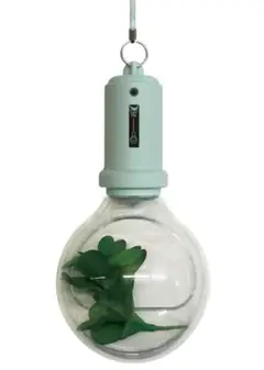 pocket light bulb　インテリアライトフェイクグリーン付　グリーン