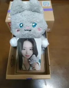 i-dle minini シュニニ　ぬいぐるみ　We are シュファ　トレカ i-dle minini シュニニ ぬいぐるみ We are シュファ トレカ