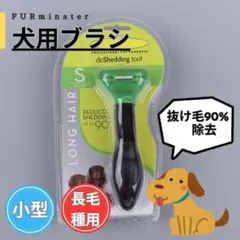Item thumbnail for item 056efd51-86b1-462a-b57e-ac4d6106392f