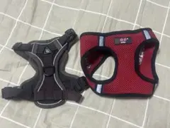 Item thumbnail for item cd29ee83-edc0-4de7-bd0b-a3ffd6f2c5e9