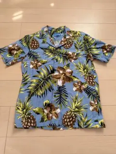 Item thumbnail for item 58a50dae-ff36-4b63-8561-eb5fb32fa192