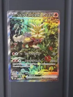 ウガツホムラex SAR