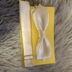 Item thumbnail for item 214a39a7-9fc2-4504-937f-9ee6c1c75b8c