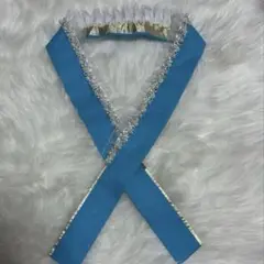 Item thumbnail for item 1bd32011-c11e-4a72-82b5-1dbfffcb226a