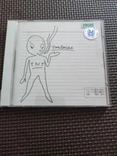 2025年最新】TORTOISE TNTの人気アイテム - メルカリ