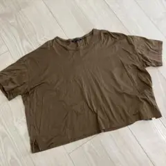 mizuiro ind ブラウン クロップドTシャツ綿100