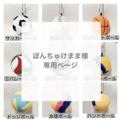 専用　ボールキーホルダー