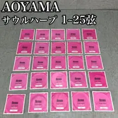 未使用　青山ハープ　サウルハープ用　替えハープ弦　1～25弦セット　25本 未使用青山ハープサウルハープ用替えハープ弦1～25弦セット25本
