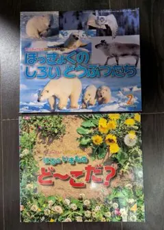 サンチャイルドビッグサイエンス 2冊セット ほっきょくのしろいどうぶつたち他