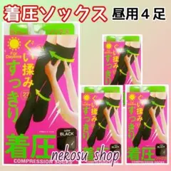 Item thumbnail for item 039e55ec-182e-4afe-a7d2-a79853b172dc