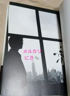 坂本龍一　SELDOM ILLEGAL 時には違法