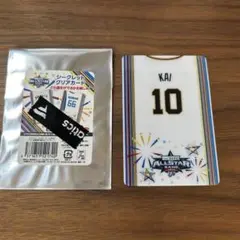 マイナビオールスター　クリアカード　甲斐