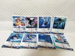 レンタルDVD　七つの海のティコ 　全9巻 （16）