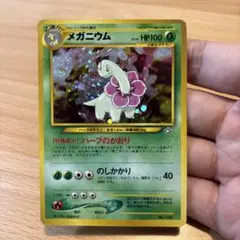 【まとめ買い値引可】 メガニウム イントロパック★neo