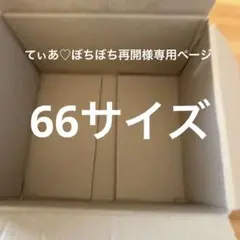 66サイズ限定1名様