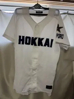 北海学園札幌高校 グラコン 半袖 シャカシャカ ダウン 高校野球応援グッズ 北海学園札幌高校 グラコン 半袖 シャカシャカ ダウン 高校野球
