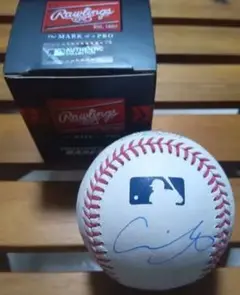 【激レア】大谷翔平 山本由伸 佐々木朗希 MLB サインボール ドジャース