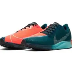 Item thumbnail for item b7ae8594-4646-4166-b46c-56a2b3afdb76