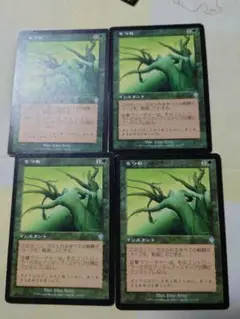 MTG　もつれ　日本語版4枚セット