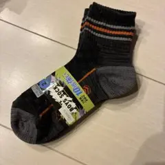 Item thumbnail for item c580bdad-7de3-4860-b88a-ddc268555dd5