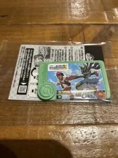 フレンダ　メガルカリオ　スペシャルピック