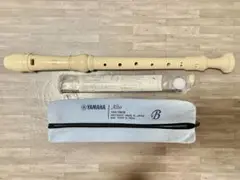 Item thumbnail for item 5c31e0b3-b2f4-404c-8169-c898491bccb6