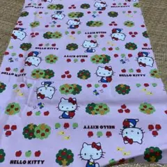 Item thumbnail for item 52a858e5-cca5-4d62-88e5-dfbb064b763f