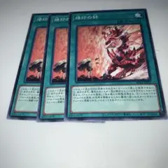 9455 烙印の絆 3枚セット