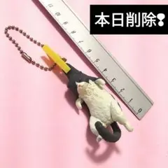 洗濯日和2 スコティッシュ
