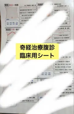 奇経治療・奇経八脈・腹診　臨床用シート