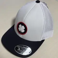 Item thumbnail for item aed68313-cf97-46ce-a3b5-2bb14d13f068