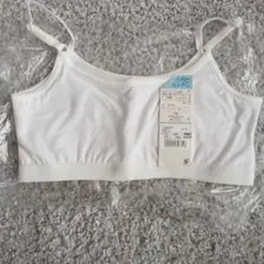 Item thumbnail for item 13ced71e-7700-477f-89fa-4e40be2e202c