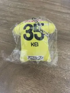 サガン鳥栖　内山圭　35