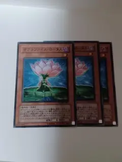 遊戯王　サクリファイス・ロータス　３枚