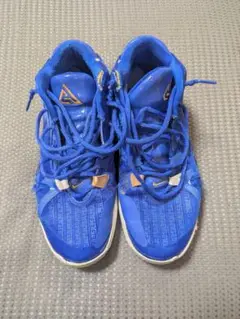 Nike フリーク　青色