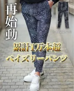 【即完売再販無し】入手困難ベリンダペイズリーパンツ 即完売再販無し】入手困難ベリンダペイズリーパンツ