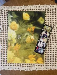 映画 美しい彼 パンフレット フィルムしおり付き