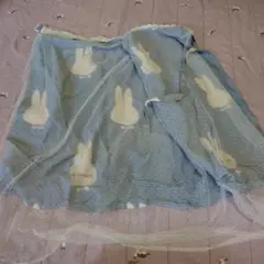 Item thumbnail for item 8e23cdef-9c06-4f60-ada8-118180f953de