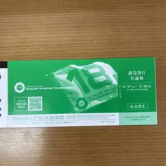ダンロップフェニックストーナメント 前売り各日共通券1枚