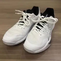 asics sky elite ff3アシックス スカイエリートff3