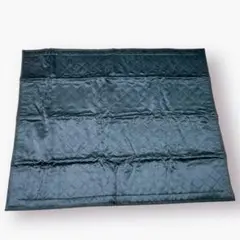 Item thumbnail for item 5c30386f-7b90-489a-afea-9608886e100c