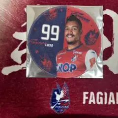 ファジアーノ岡山 丸型タオル 99 ルカオ