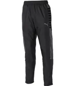 Item thumbnail for item 504d1bef-83f8-4049-9ddd-ec9e8fdfa361