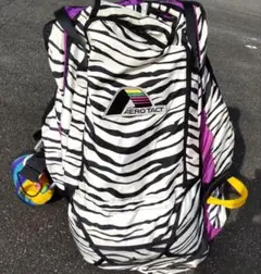 Item thumbnail for item 4c6f40bd-9557-42d8-b9bb-a95472ca3789