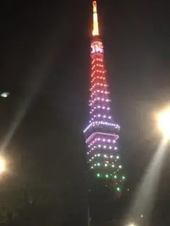⭐︎割引特典あり⭐︎アジュバンAEローションu0026AEエマルジョンセット