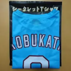 Item thumbnail for item e8e04d82-85a0-42f0-8675-3c4da8a6fef9