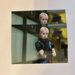 龍宮城 S 武道館 生写真