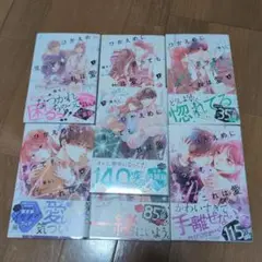 【2つに分けて発送します即購入禁止】ひかえめに言っても、これは愛1〜7A