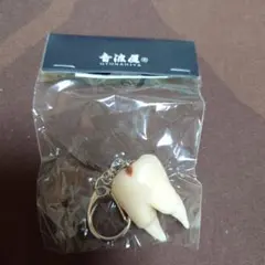 音波屋 OTONAMIYA しりっ歯キーホルダー虫歯タイプ 新品未開封品